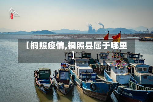 【桐照疫情,桐照县属于哪里】-第3张图片