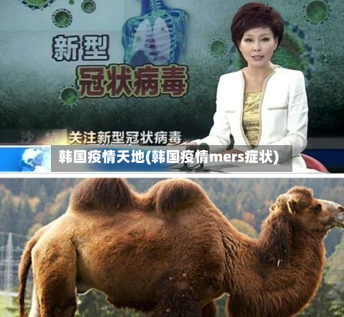 韩国疫情天地(韩国疫情mers症状)-第1张图片