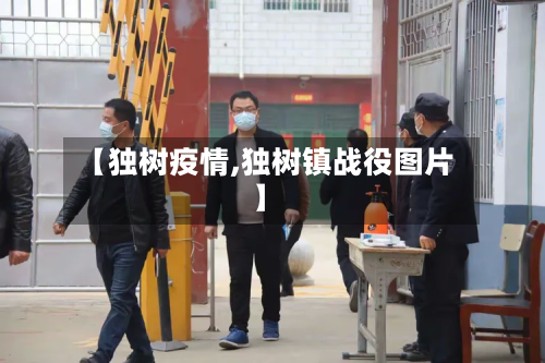 【独树疫情,独树镇战役图片】-第2张图片