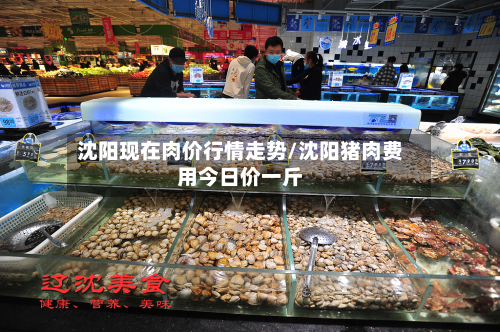 沈阳现在肉价行情走势/沈阳猪肉费用今日价一斤-第1张图片