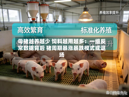 母猪越养越少 饲料越用越多：一组反常数据背后 猪周期暴涨暴跌模式或退场-第1张图片