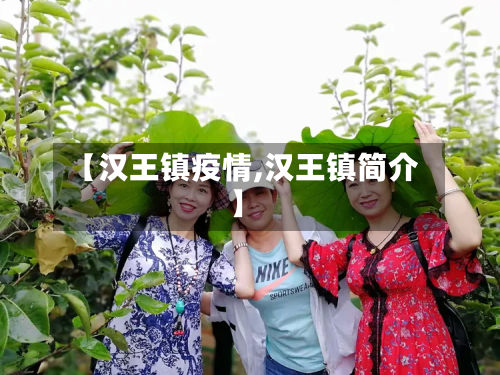【汉王镇疫情,汉王镇简介】-第2张图片