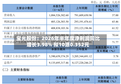 宝光股份：2026年半年度净利润同比增长3.98% 拟10派0.352元-第1张图片