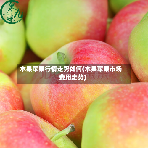 水果苹果行情走势如何(水果苹果市场费用走势)-第3张图片
