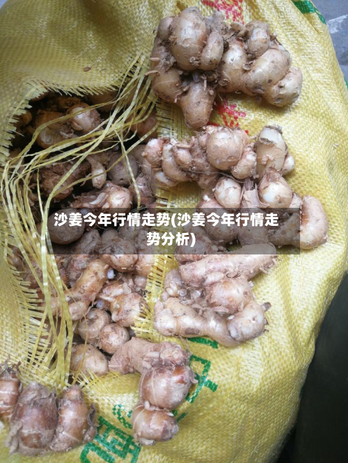 沙姜今年行情走势(沙姜今年行情走势分析)-第1张图片