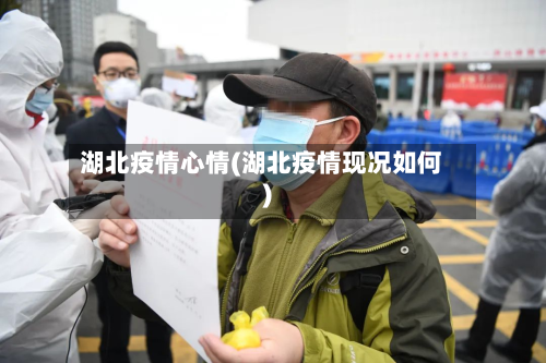 湖北疫情心情(湖北疫情现况如何)-第2张图片
