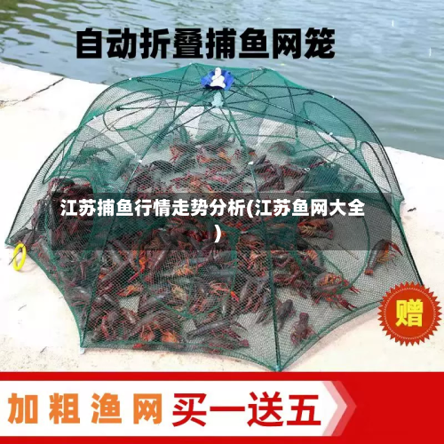 江苏捕鱼行情走势分析(江苏鱼网大全)-第2张图片