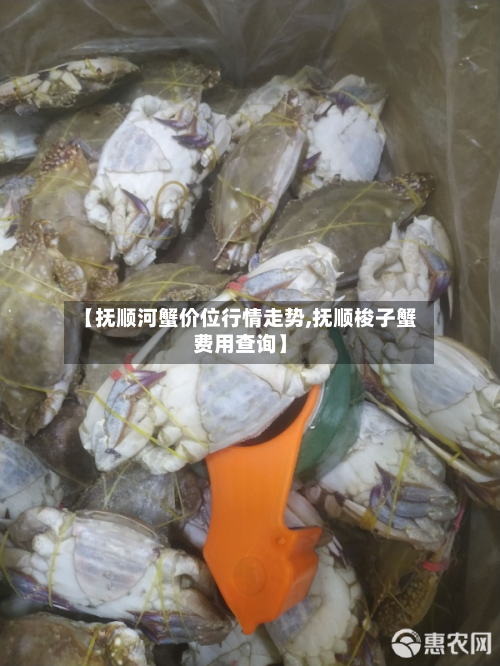 【抚顺河蟹价位行情走势,抚顺梭子蟹费用查询】-第1张图片