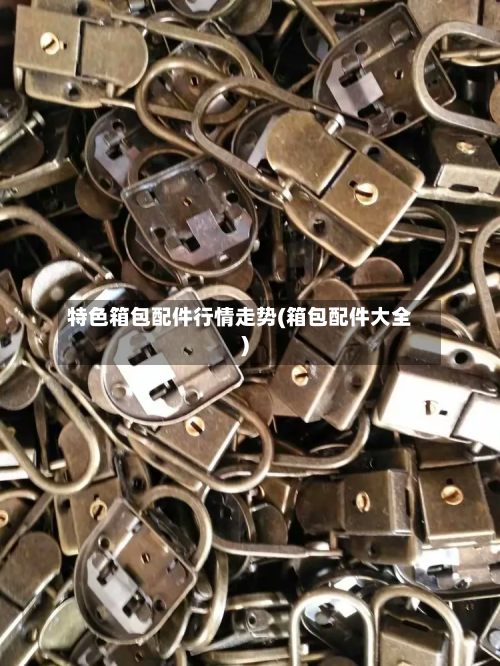 特色箱包配件行情走势(箱包配件大全)-第2张图片