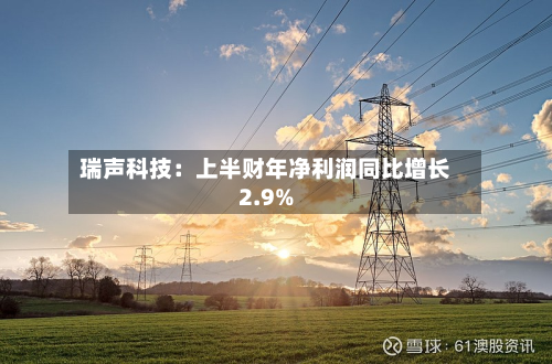 瑞声科技：上半财年净利润同比增长2.9%-第3张图片
