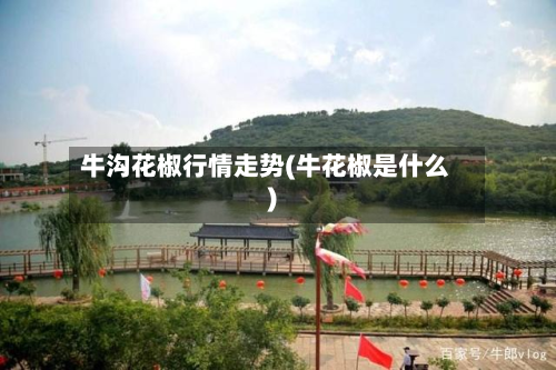 牛沟花椒行情走势(牛花椒是什么)-第1张图片