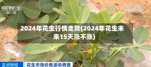 2024年花生行情走势(2024年花生未来15天涨不涨)-第1张图片