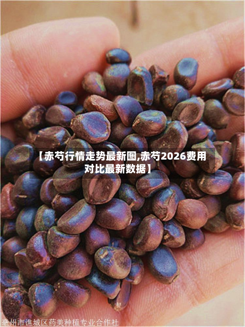 【赤芍行情走势最新图,赤芍2026费用对比最新数据】-第2张图片