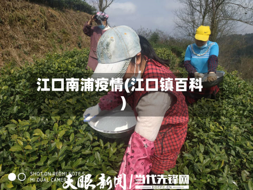 江口南浦疫情(江口镇百科)-第3张图片