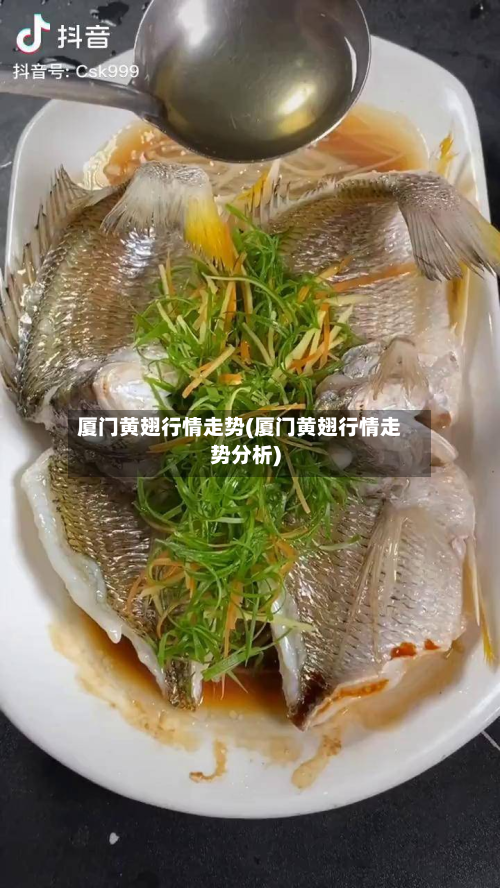 厦门黄翅行情走势(厦门黄翅行情走势分析)-第2张图片