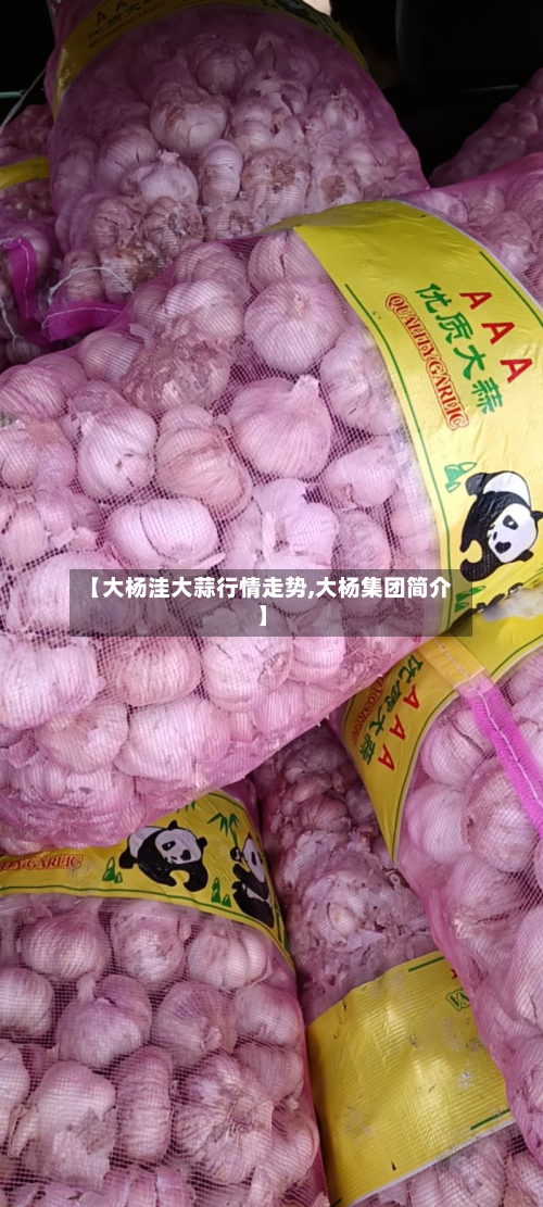 【大杨洼大蒜行情走势,大杨集团简介】-第1张图片
