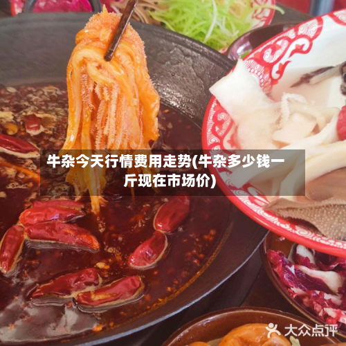牛杂今天行情费用走势(牛杂多少钱一斤现在市场价)-第1张图片