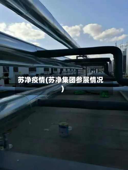 苏净疫情(苏净集团参展情况)-第3张图片