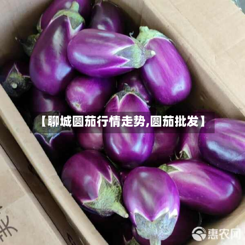 【聊城圆茄行情走势,圆茄批发】-第3张图片