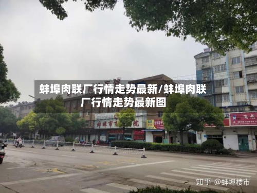 蚌埠肉联厂行情走势最新/蚌埠肉联厂行情走势最新图-第3张图片