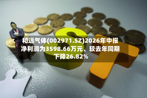 和远气体(002971.SZ)2026年中报净利润为3598.66万元、较去年同期下降26.82%-第2张图片