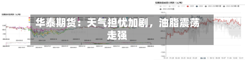 华泰期货：天气担忧加剧，油脂震荡走强-第2张图片