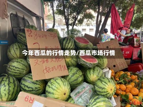 今年西瓜的行情走势/西瓜市场行情-第1张图片