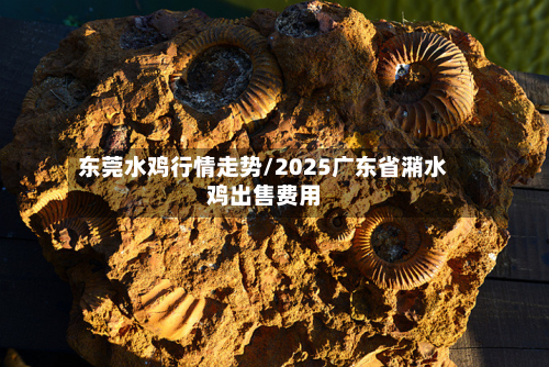 东莞水鸡行情走势/2025广东省潲水鸡出售费用-第3张图片