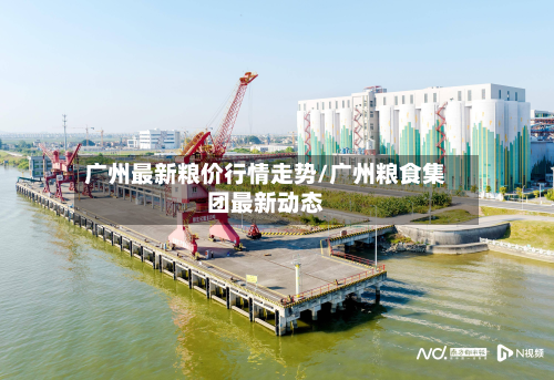 广州最新粮价行情走势/广州粮食集团最新动态-第1张图片