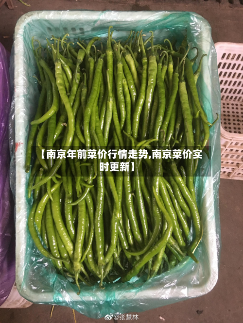 【南京年前菜价行情走势,南京菜价实时更新】-第2张图片