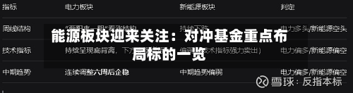 能源板块迎来关注：对冲基金重点布局标的一览-第1张图片