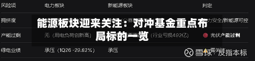 能源板块迎来关注：对冲基金重点布局标的一览-第2张图片