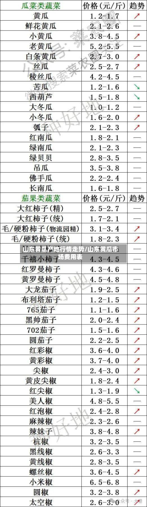 山东黄瓜产地行情走势/山东黄瓜市场费用表-第2张图片