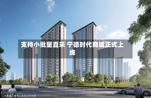 支持小批量直采 宁德时代商城正式上线-第2张图片