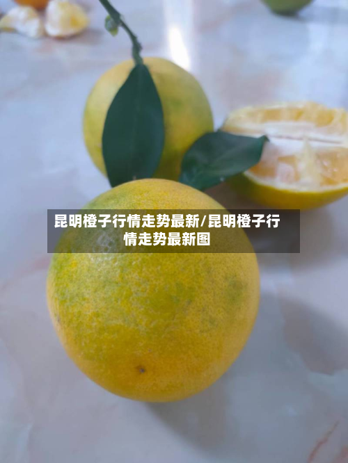 昆明橙子行情走势最新/昆明橙子行情走势最新图-第2张图片