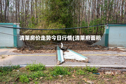 清莱房价走势今日行情(清莱府面积)-第2张图片