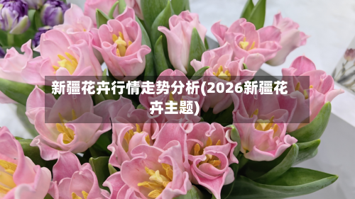 新疆花卉行情走势分析(2026新疆花卉主题)-第2张图片