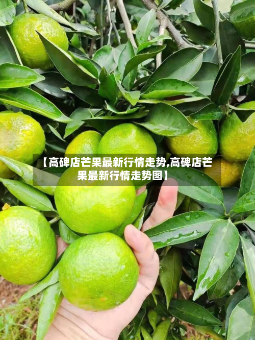 【高碑店芒果最新行情走势,高碑店芒果最新行情走势图】-第3张图片