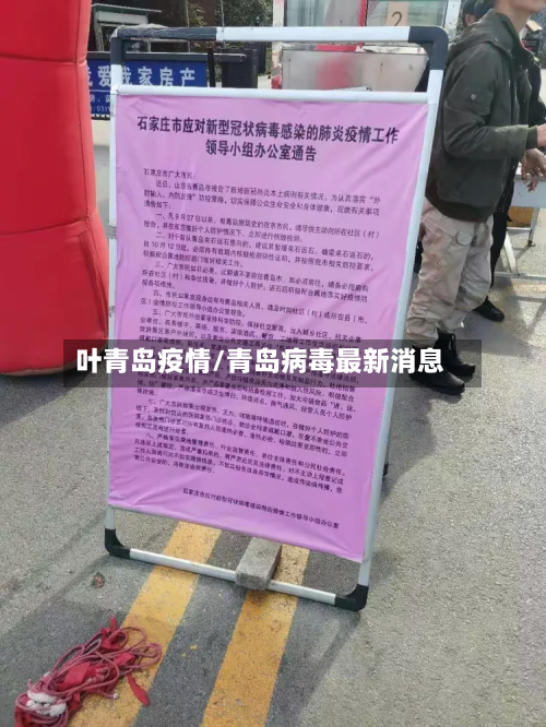 叶青岛疫情/青岛病毒最新消息-第2张图片