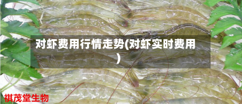 对虾费用行情走势(对虾实时费用)-第2张图片