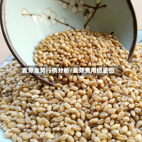 麦芽走势行情分析/麦芽费用借鉴图-第2张图片