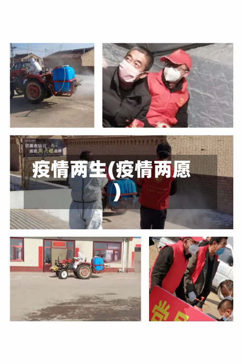 疫情两生(疫情两愿)-第3张图片