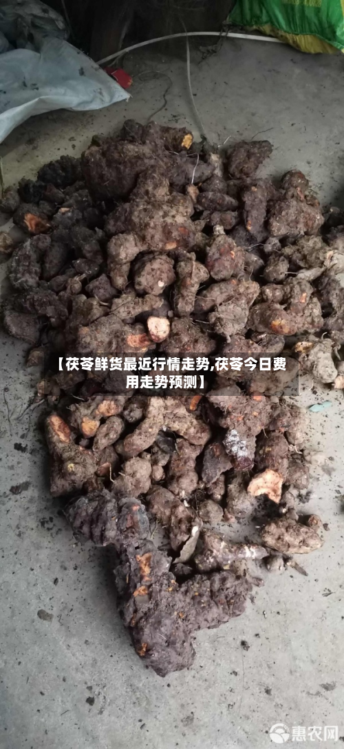 【茯苓鲜货最近行情走势,茯苓今日费用走势预测】-第1张图片
