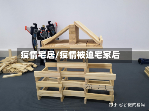 疫情宅居/疫情被迫宅家后-第3张图片