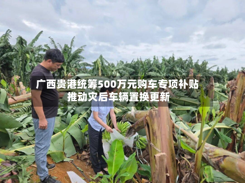 广西贵港统筹500万元购车专项补贴 推动灾后车辆置换更新-第2张图片