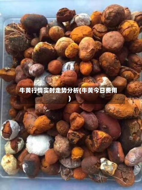 牛黄行情实时走势分析(牛黄今日费用)-第2张图片
