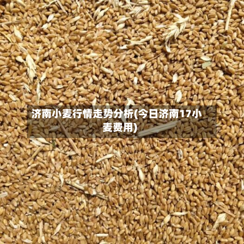 济南小麦行情走势分析(今日济南17小麦费用)-第1张图片