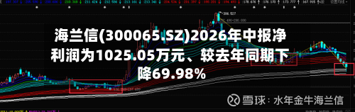 海兰信(300065.SZ)2026年中报净利润为1025.05万元、较去年同期下降69.98%-第2张图片