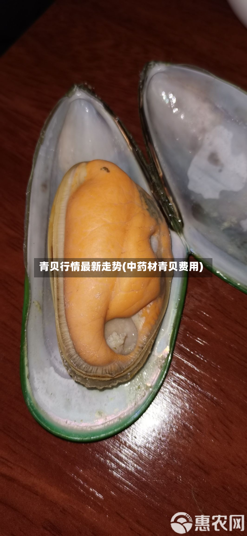 青贝行情最新走势(中药材青贝费用)-第1张图片