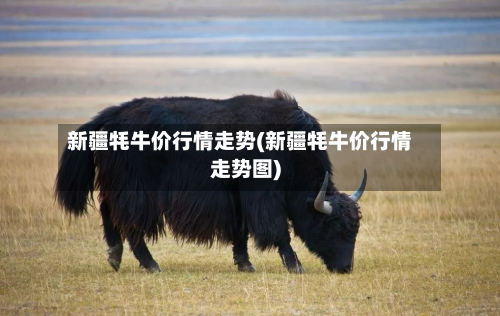 新疆牦牛价行情走势(新疆牦牛价行情走势图)-第2张图片